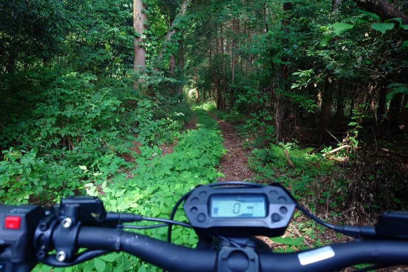 非日常的な道路。トレイル体験走行 Surronを使ってのあぜ…（写真2）