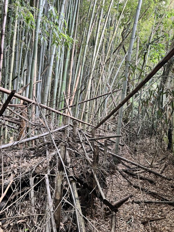 現場ない時って何やってるの？ってクライアントの担当に！確かに…（写真2）